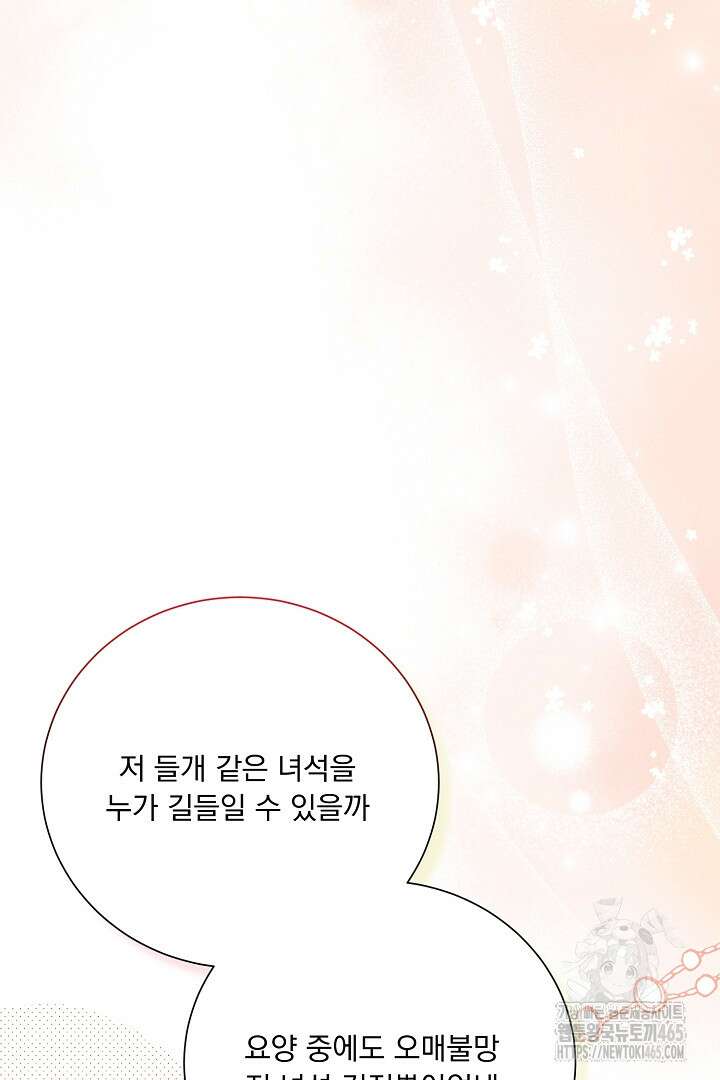 신데렐라의 마법이 풀린 후 56화 6