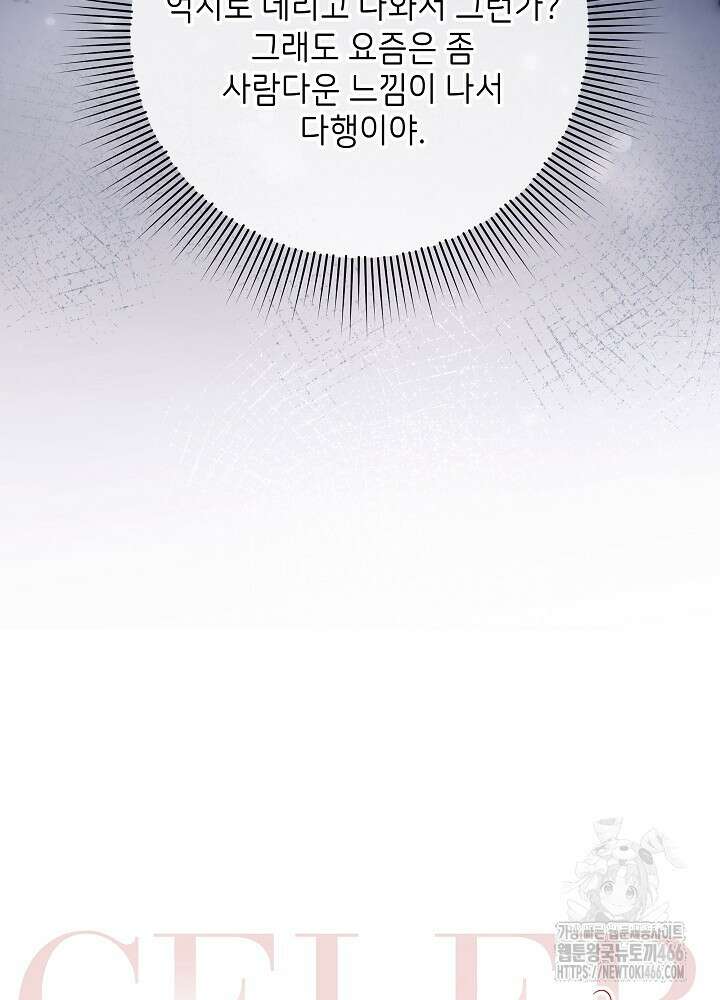 셀럽 레이디 37화 14