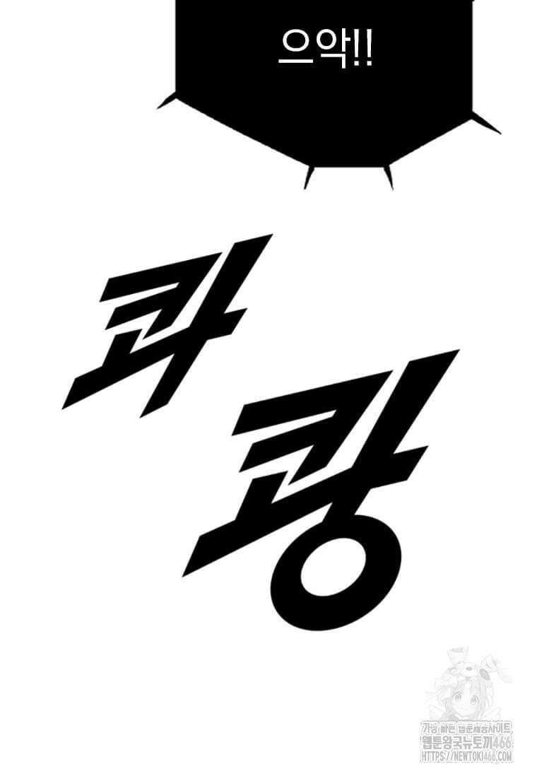 다른 세계에서 주워왔습니다 246화 84