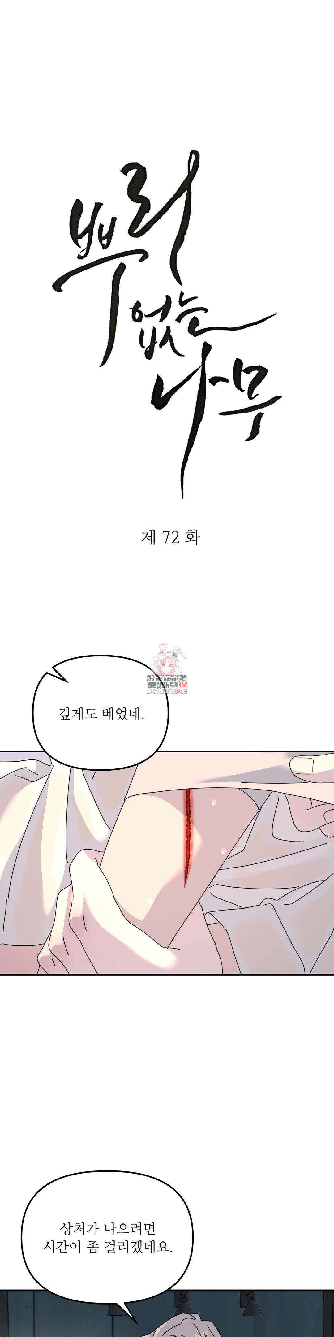 뿌리 없는 나무 72화 1