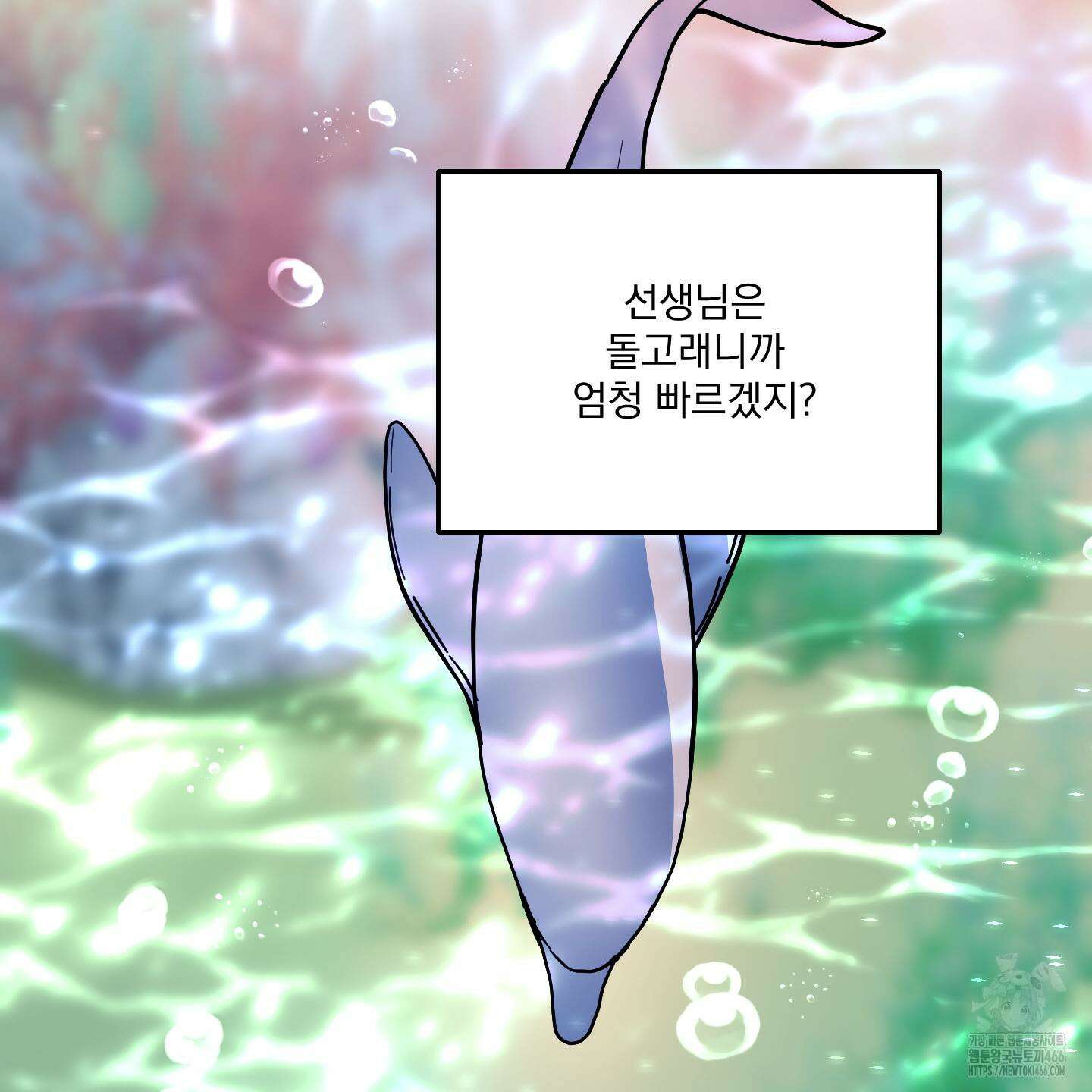 상어에게서 토끼는 방법 47화 70