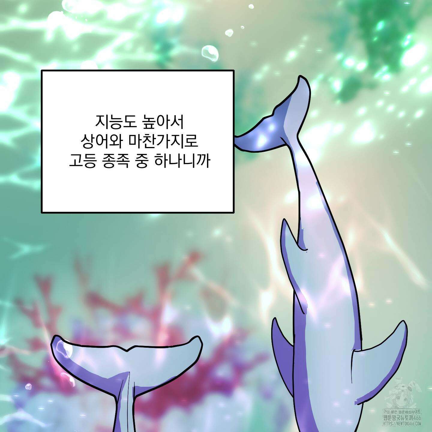 상어에게서 토끼는 방법 47화 71