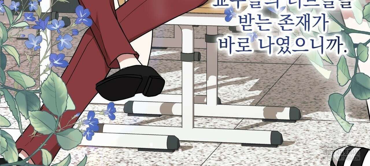 동백꽃 5화 14