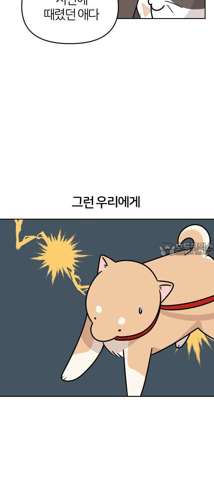 시바, 만만치 않다 24화 계략 고양이 3