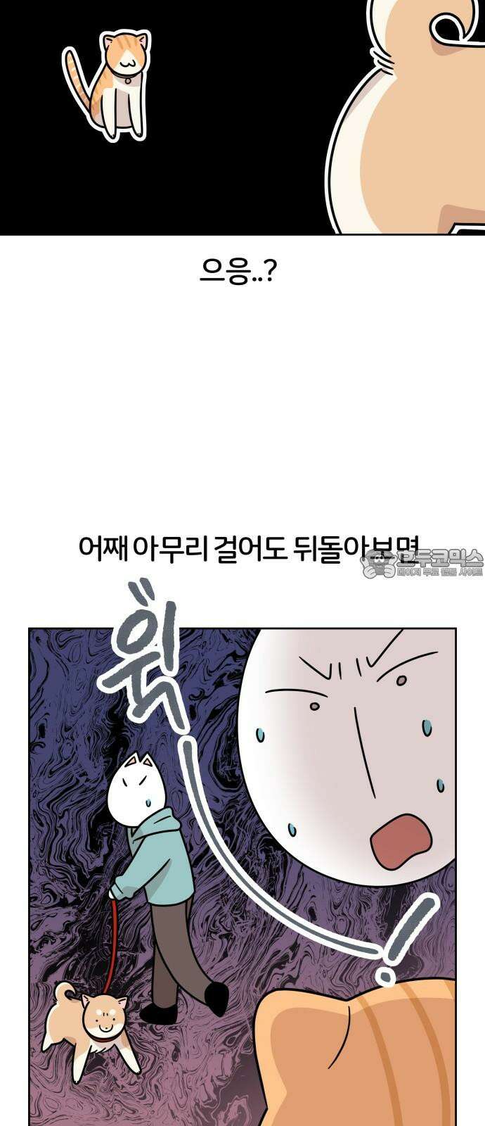 시바, 만만치 않다 24화 계략 고양이 9