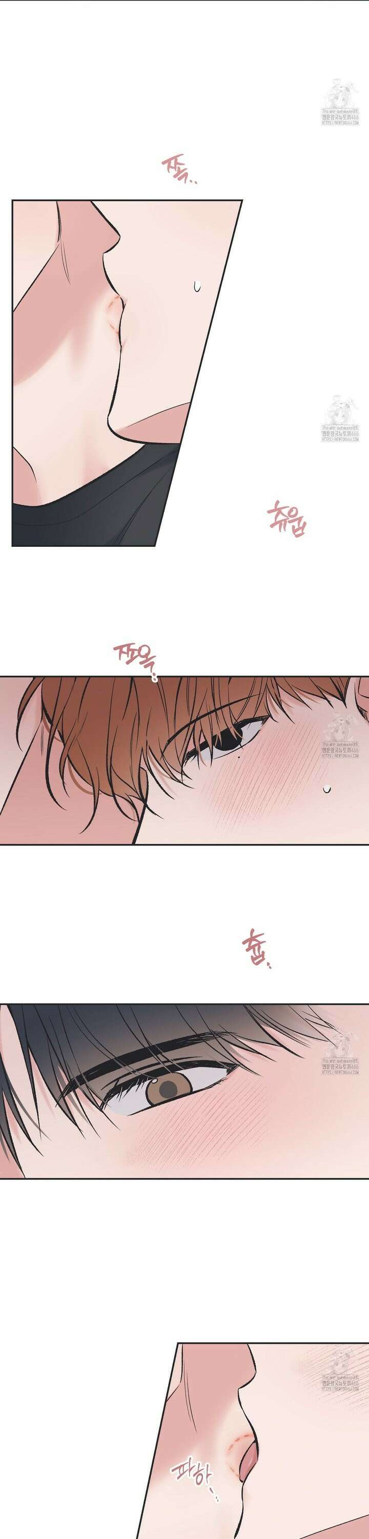 별과 별 사이 혜성과 태양 사이 23화 4