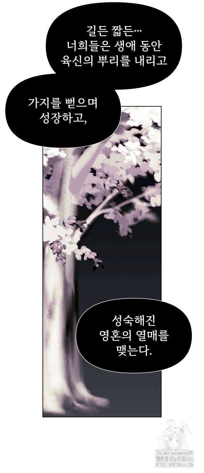에녹:빛나는 나무 34화 26