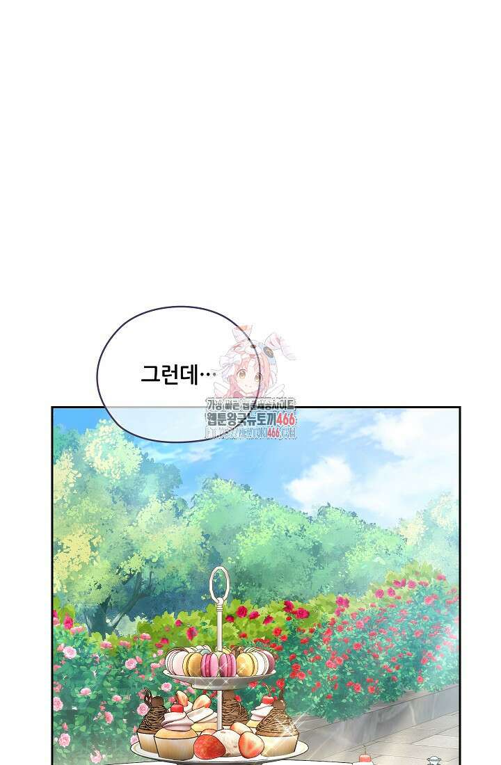 아도니스 275화 1
