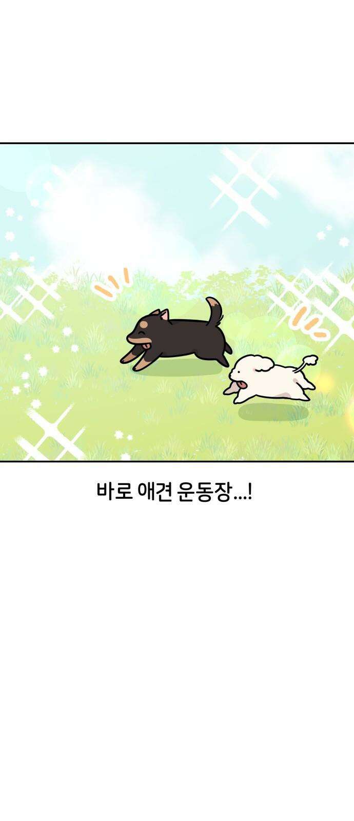 시바, 만만치 않다 26화 소풍 갑시다． 5