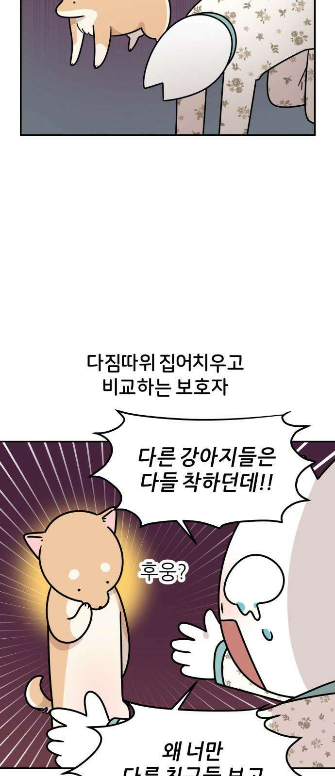 시바, 만만치 않다 26화 소풍 갑시다． 7