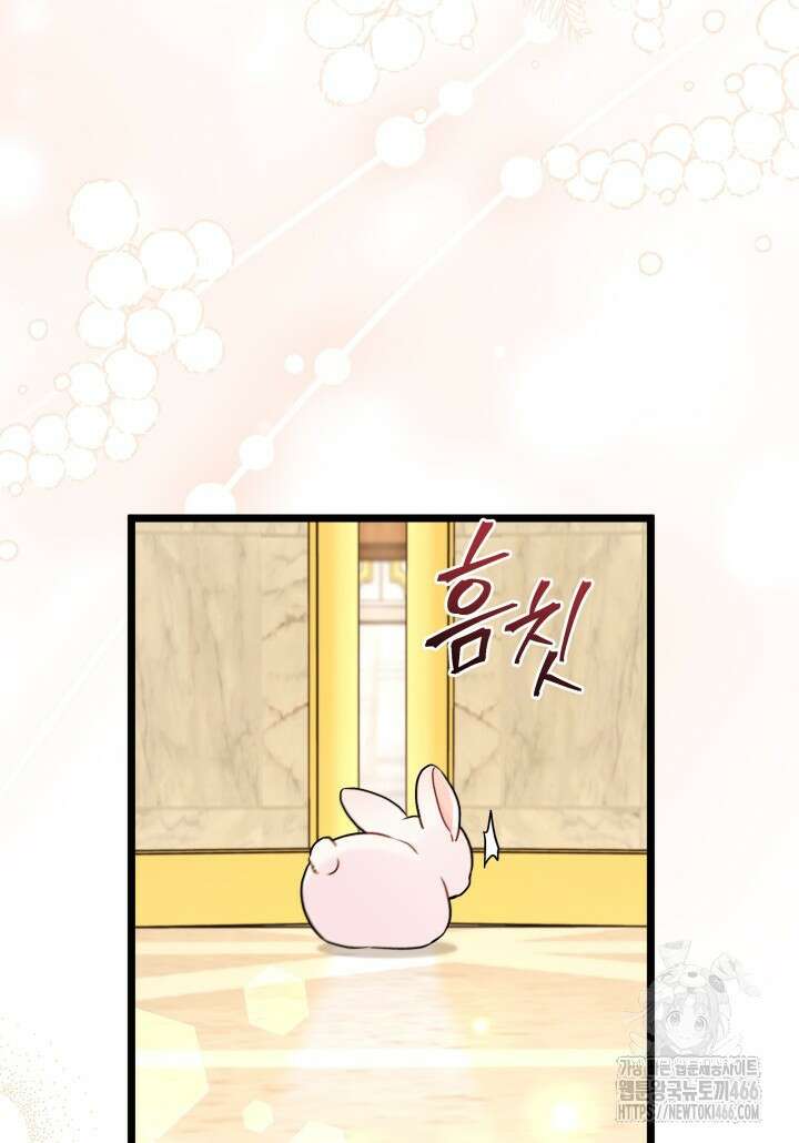 토끼와 흑표범의 공생관계 168화 (외전 18) 18