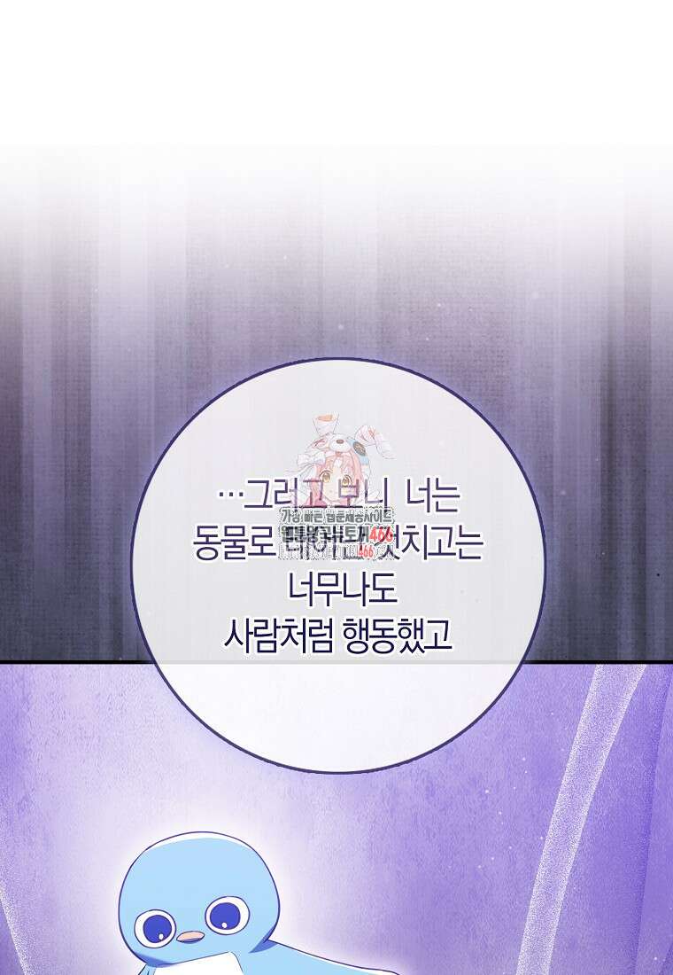 미친 범고래의 애착 펭귄 38화 1