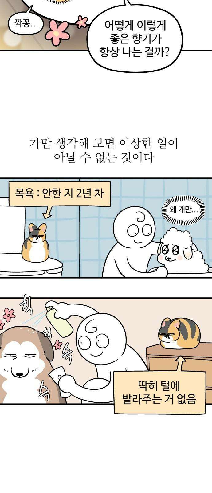 노곤하개 쇼츠 고양이의 미스터리 4