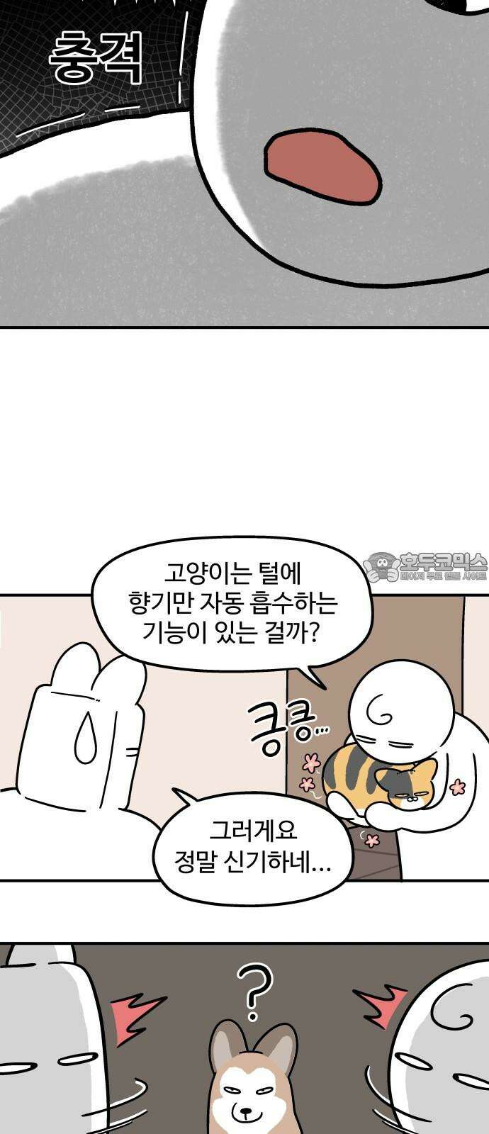 노곤하개 쇼츠 고양이의 미스터리 6