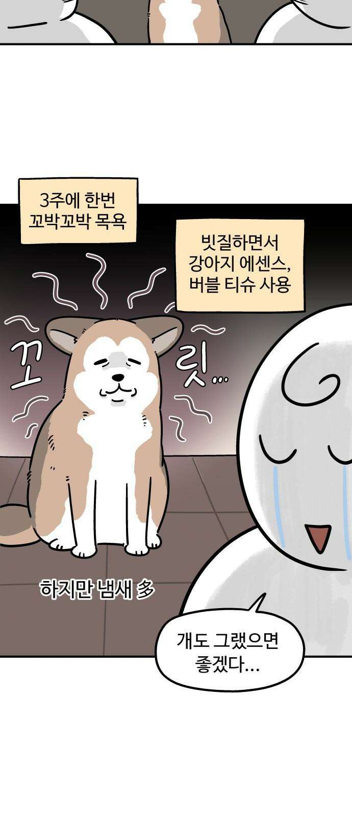노곤하개 쇼츠 고양이의 미스터리 7