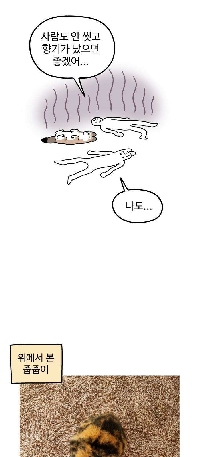 노곤하개 쇼츠 고양이의 미스터리 8