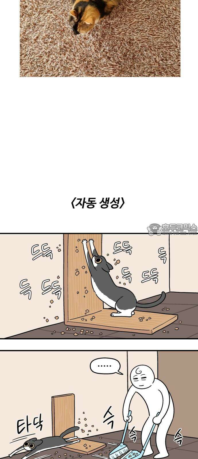 노곤하개 쇼츠 고양이의 미스터리 9