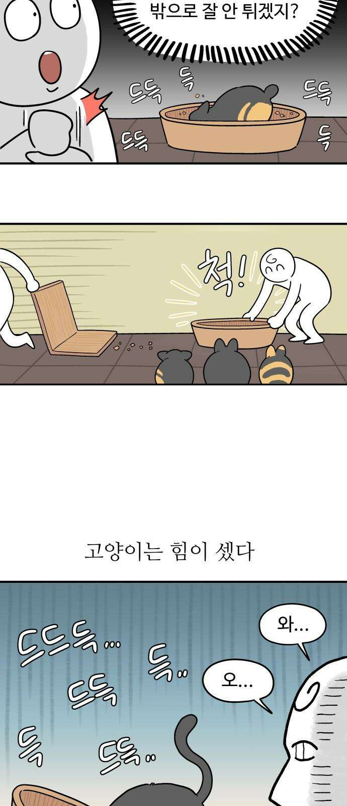 노곤하개 쇼츠 고양이의 미스터리 11