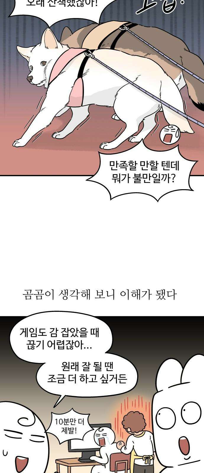 노곤하개 쇼츠 고양이의 미스터리 14