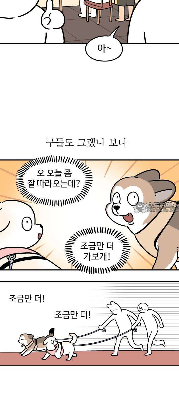 노곤하개 쇼츠 고양이의 미스터리 15