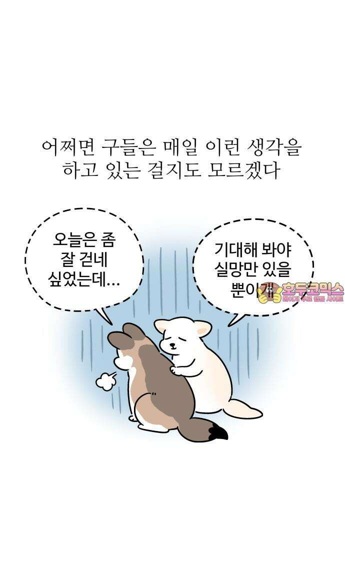 노곤하개 쇼츠 고양이의 미스터리 16