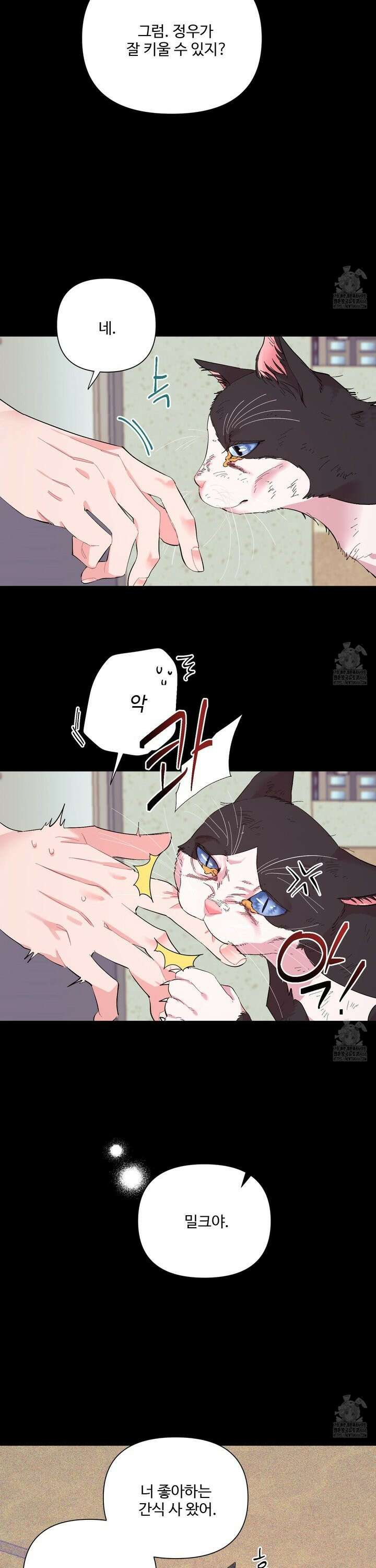 초코밀크쉐이크 2화 2