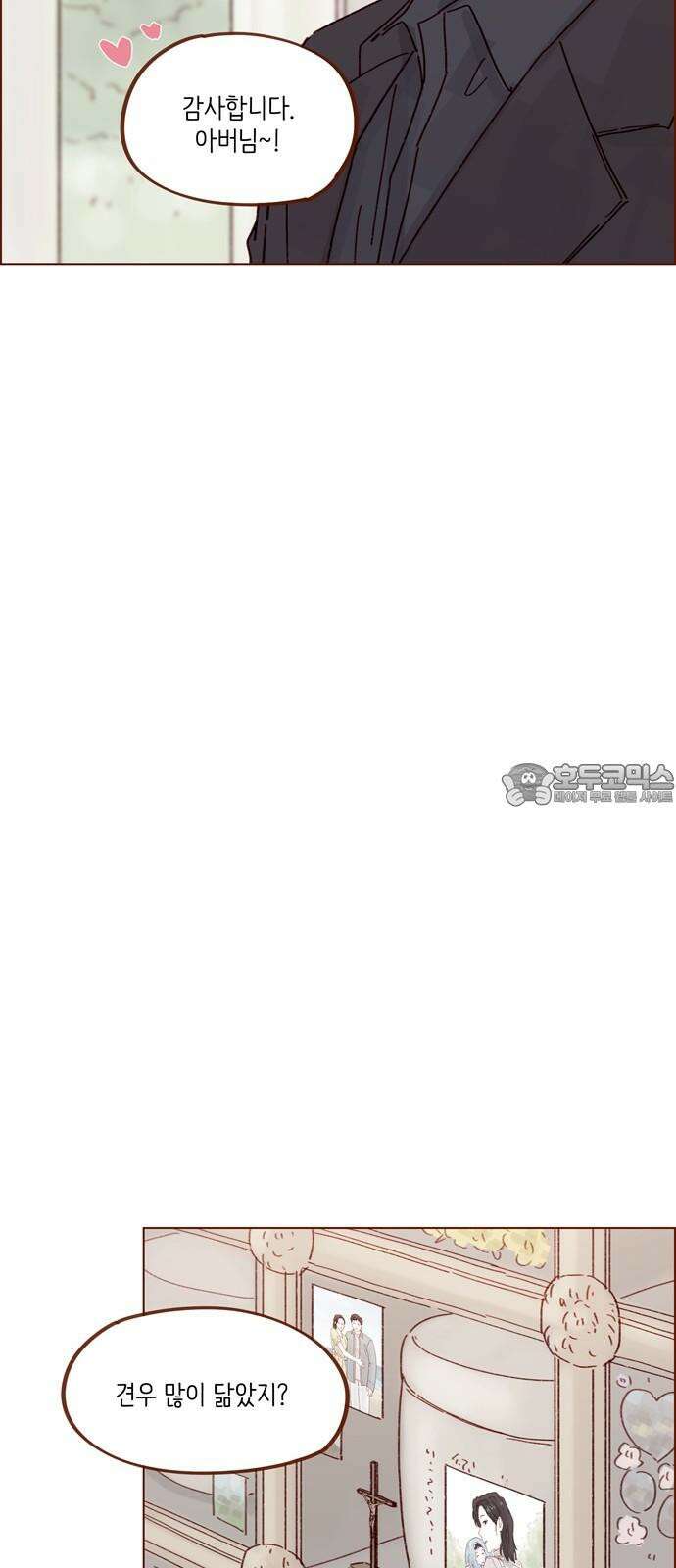홍시는 날 좋아해! 301화 : 예비 며느리가 될 예단아라 하옵니다 18