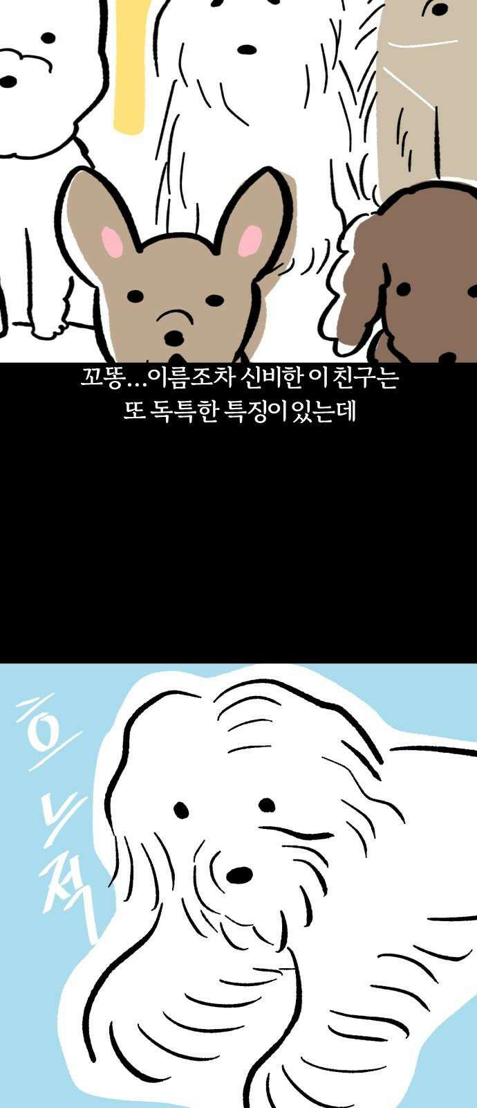 개집사 55화: 갈대 같은 강쥐 13