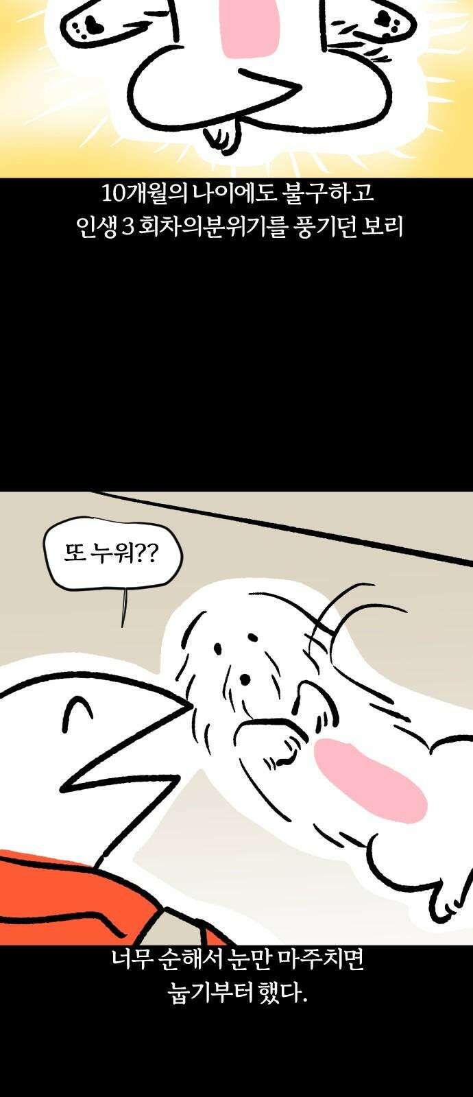 개집사 55화: 갈대 같은 강쥐 16