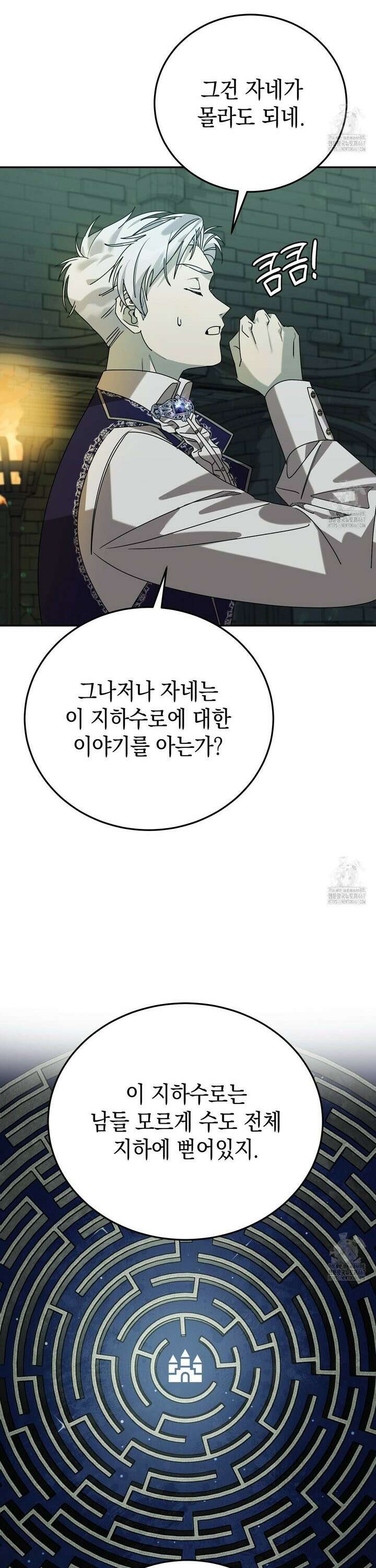 폭군의 망나니 오빠로 사는 법 9화 5