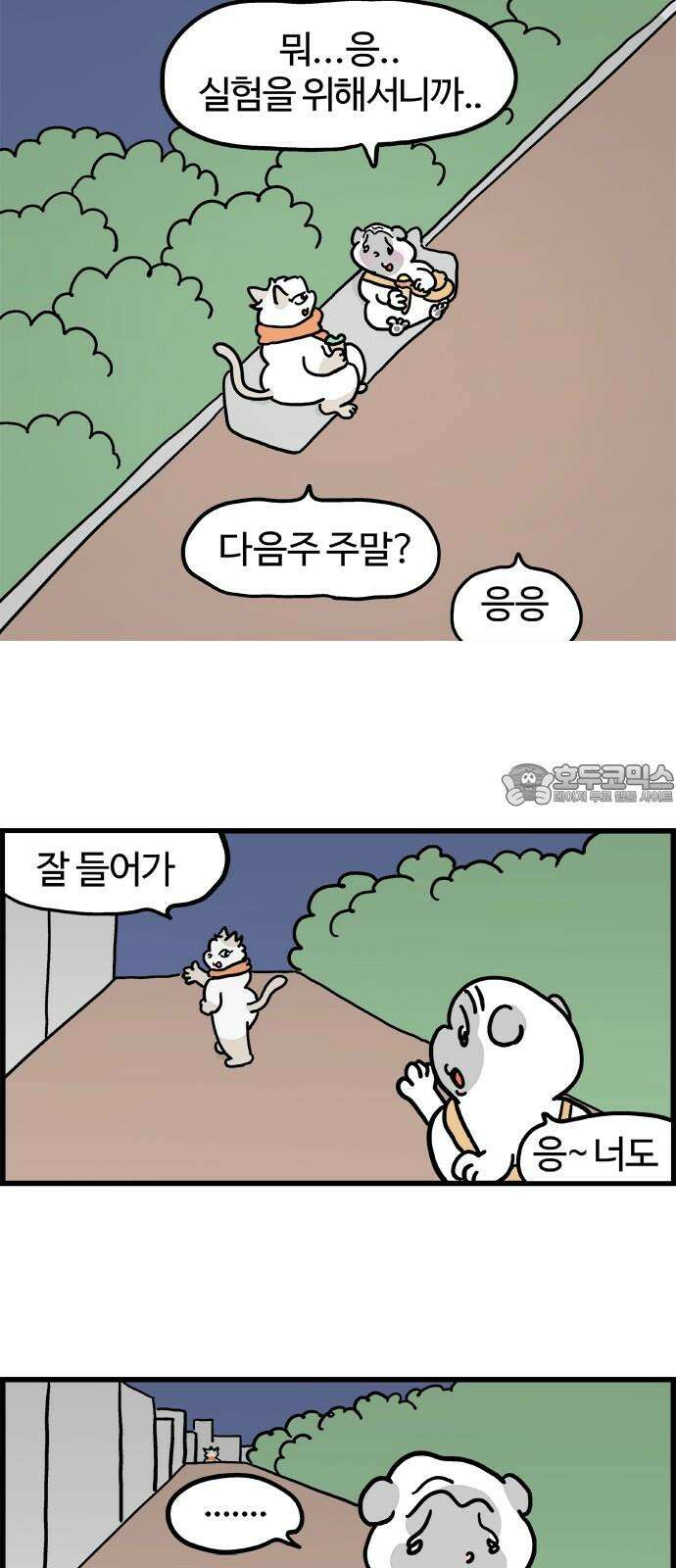 흔한햄 에필로그 12화 : 마음 정리 3