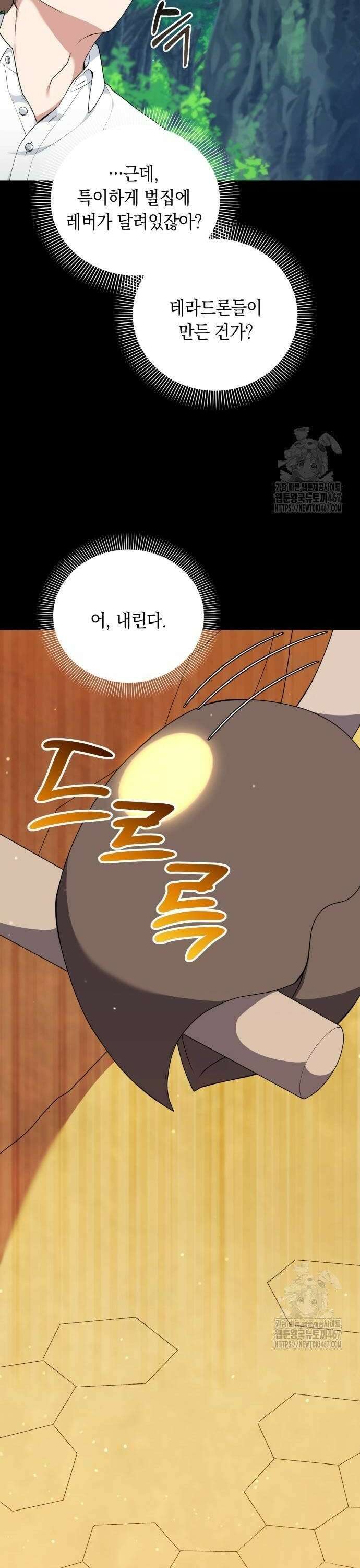 헌터 세상의 정원사 52화 6