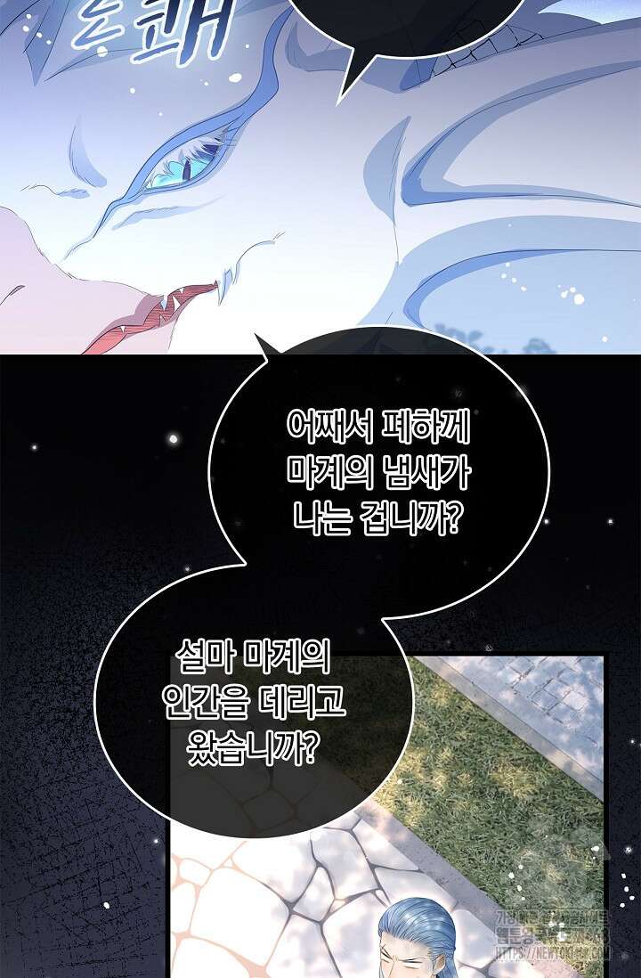 황태자의 용으로 태어났다 44화 11