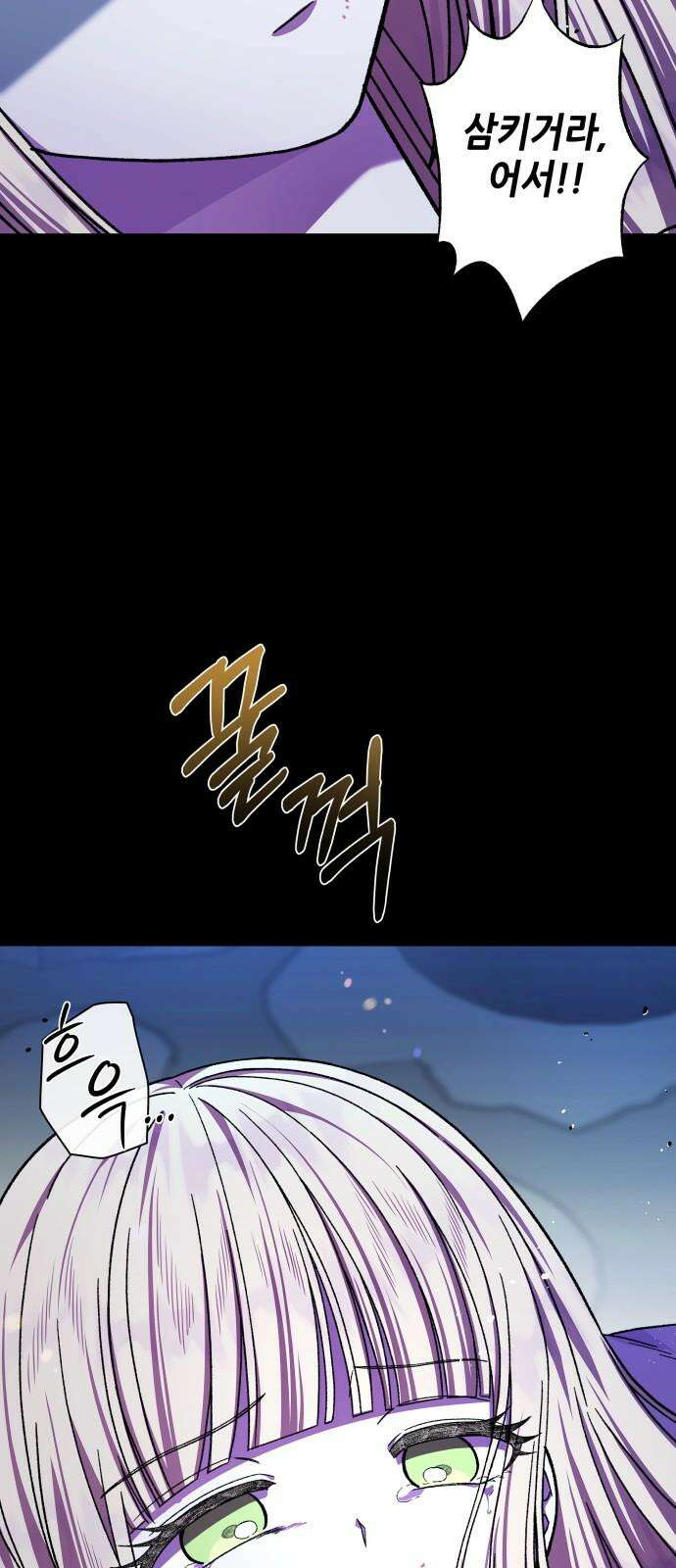 드래곤의 심장을 가지고 있습니다 95화 11