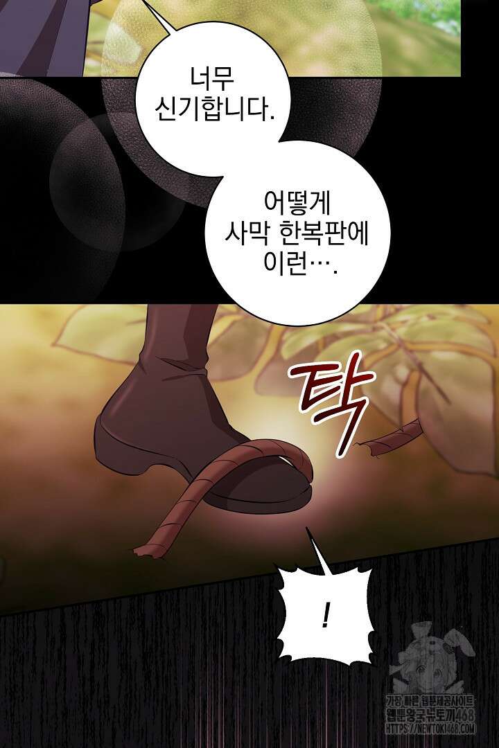폭군에게 찍힌 민폐 황후입니다 43화 34