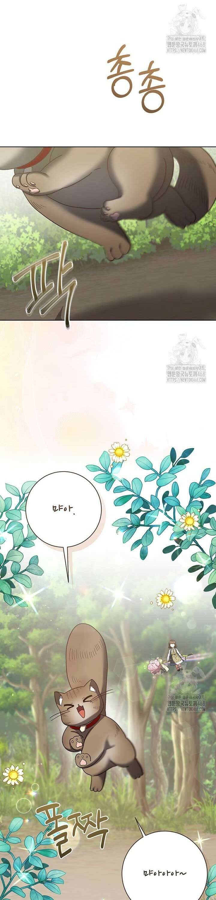 한 줄짜리 영애였을 터 220화 5