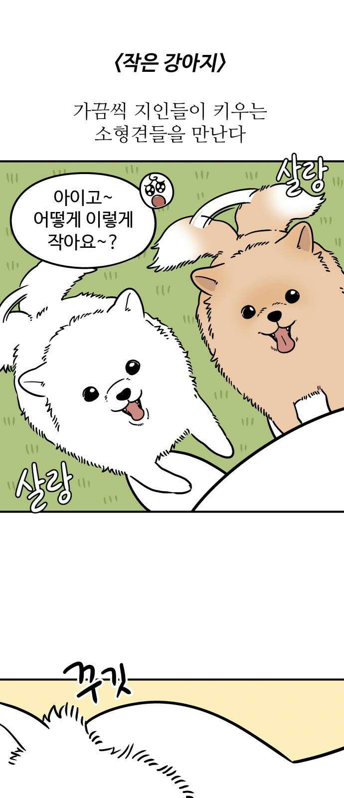 노곤하개 쇼츠 작은 강아지 2