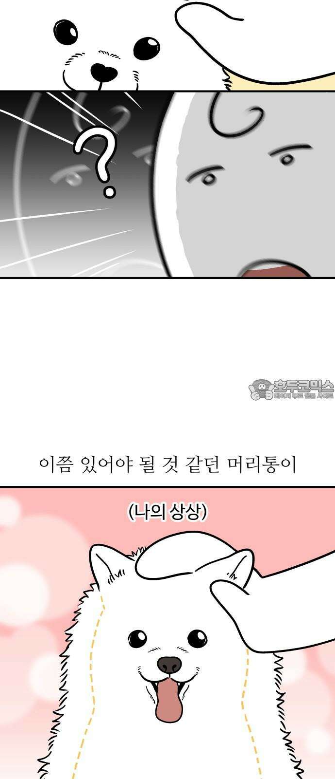 노곤하개 쇼츠 작은 강아지 3