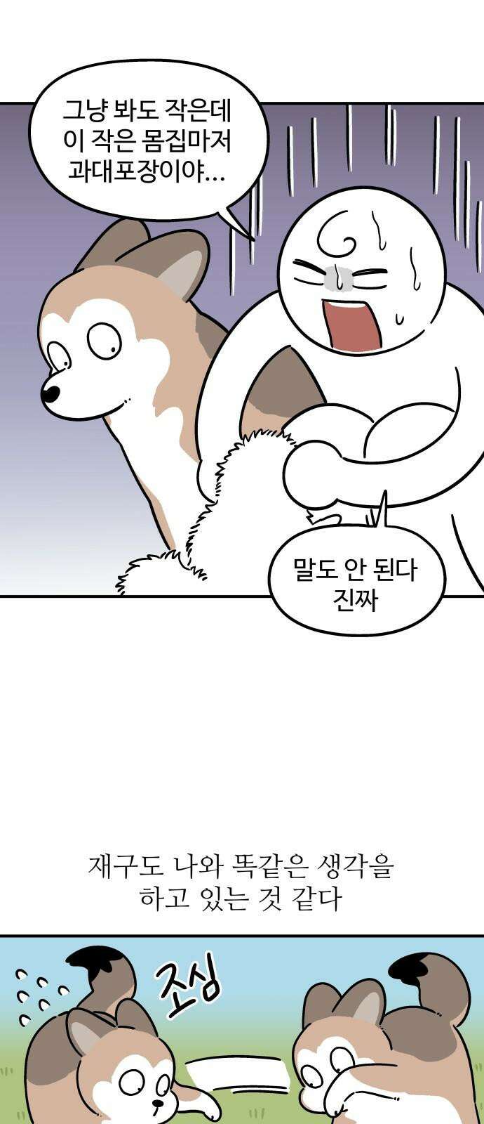 노곤하개 쇼츠 작은 강아지 5