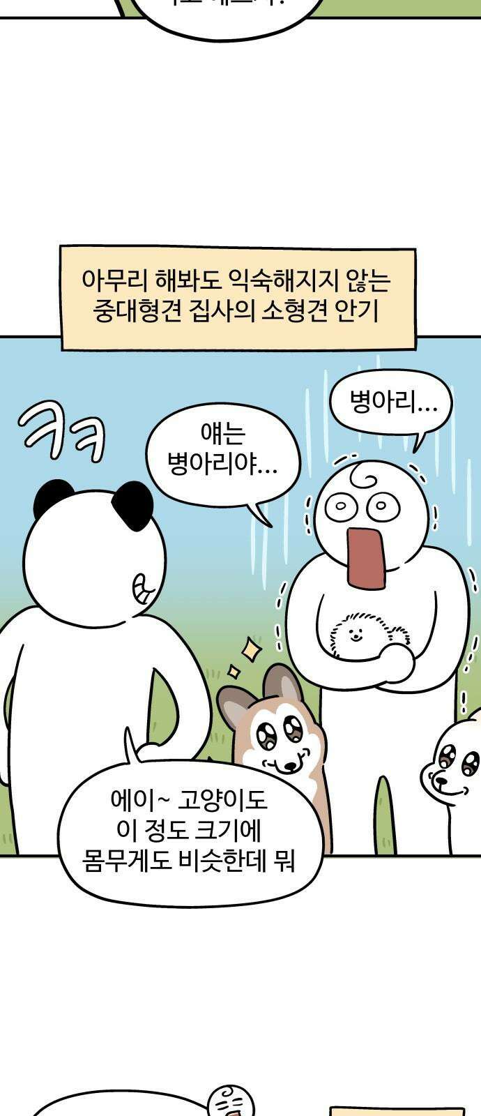 노곤하개 쇼츠 작은 강아지 7
