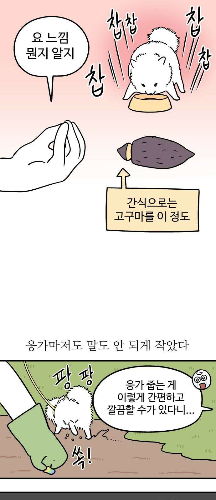 노곤하개 쇼츠 작은 강아지 11