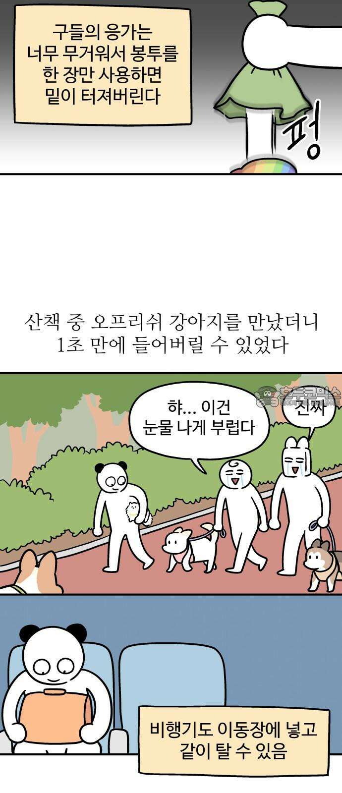 노곤하개 쇼츠 작은 강아지 12