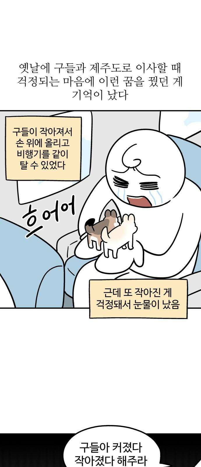 노곤하개 쇼츠 작은 강아지 13