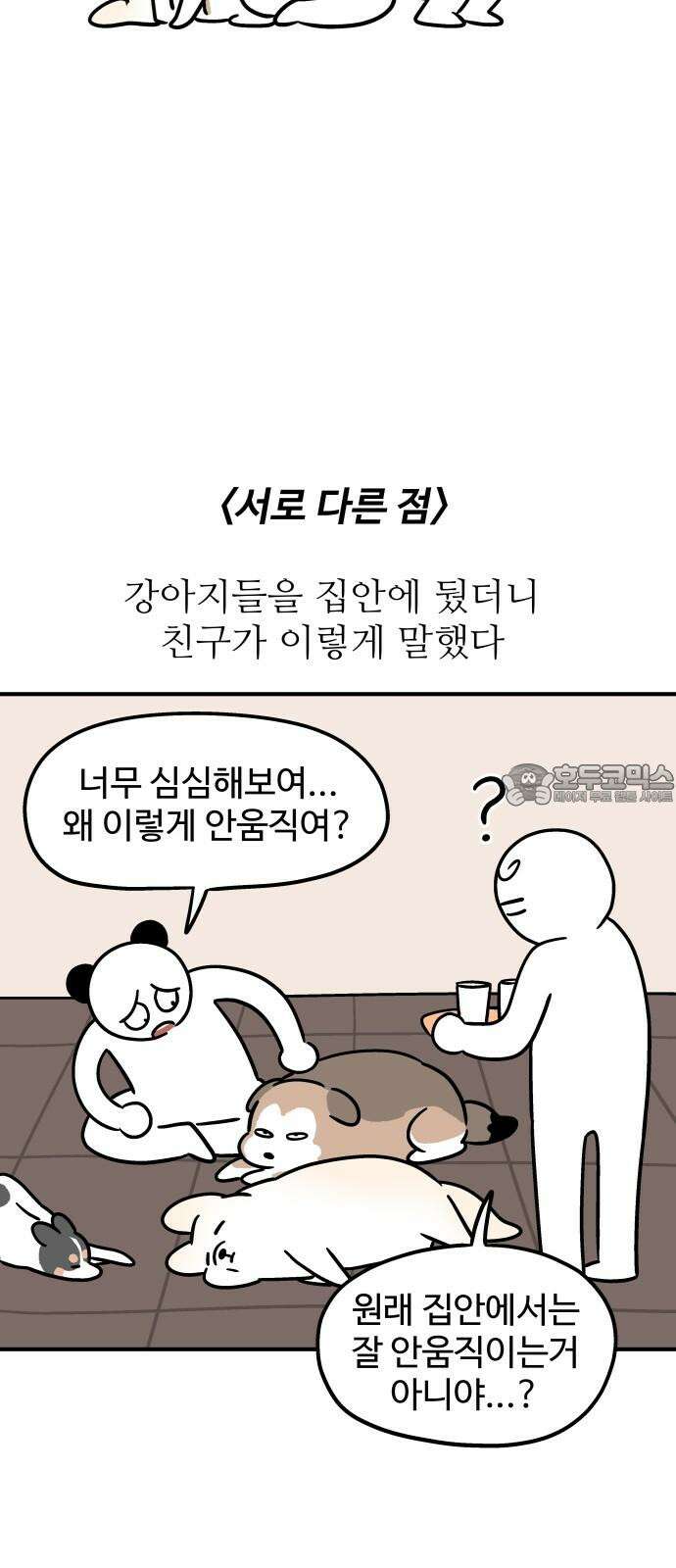 노곤하개 쇼츠 작은 강아지 15