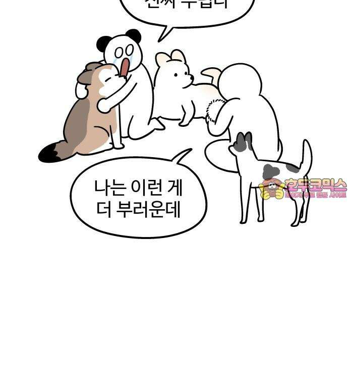 노곤하개 쇼츠 작은 강아지 17