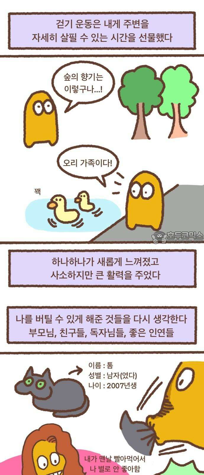 어느날 갑자기 가슴이 커짐 27화 - 산다는 것 12
