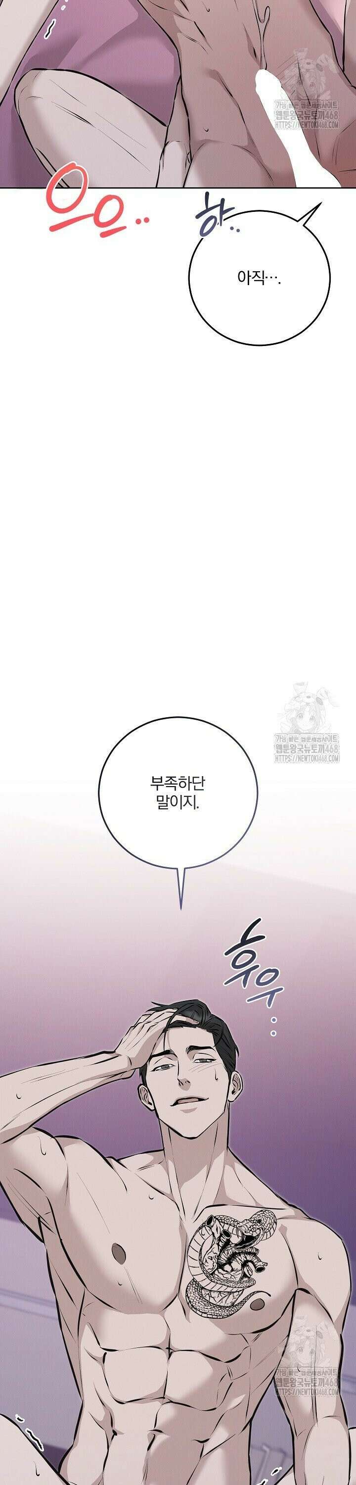 모르페우스 50화 13