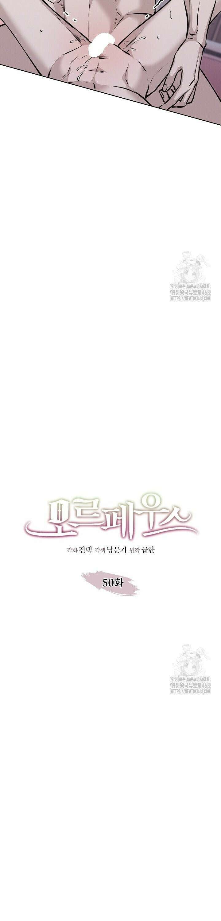 모르페우스 50화 14