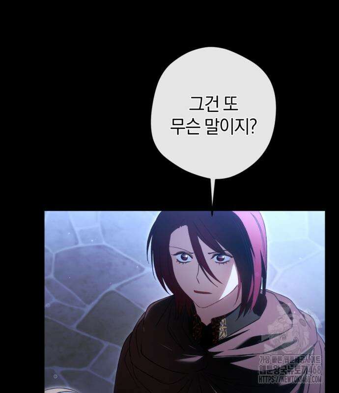 악역 폭군이 회귀해 버렸다 39화 27