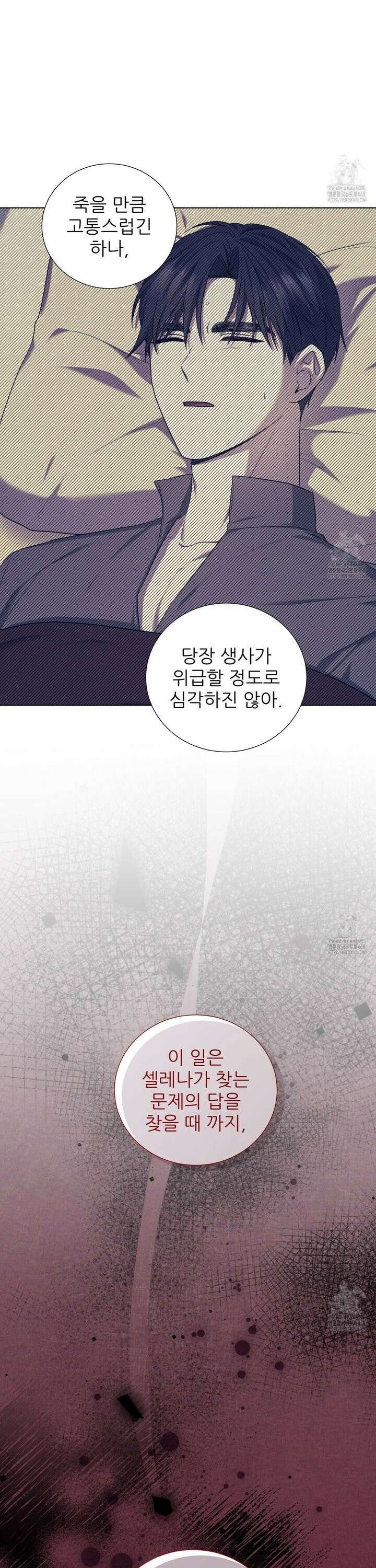 다정하신 나의 악연에게 77화 17